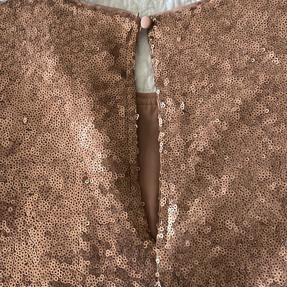 Abercrombie &Fitch Rose gold sequin top size XS - Picture 4 of 5